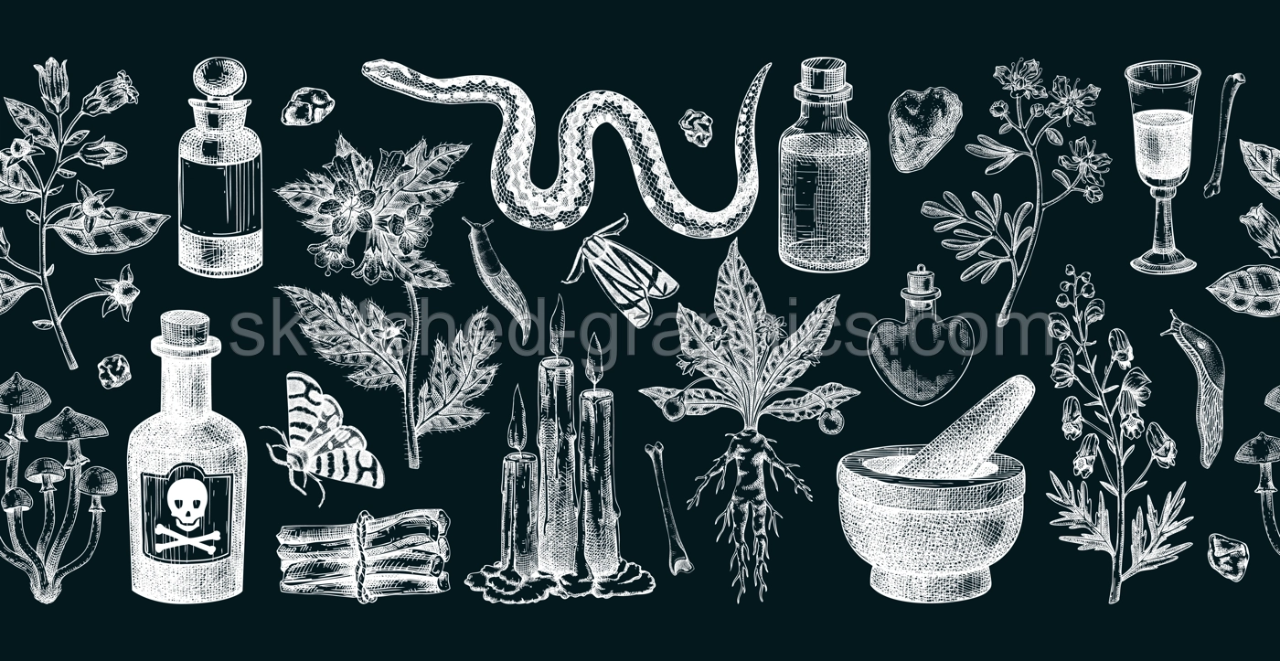 Witchcraft hand drawn vector illustrations. Bohemian seamless ribbon. Halloween background. Witch herbs, poisonous plants, magic ingredients sketches on chalkboard. NOT AI generated Illustration